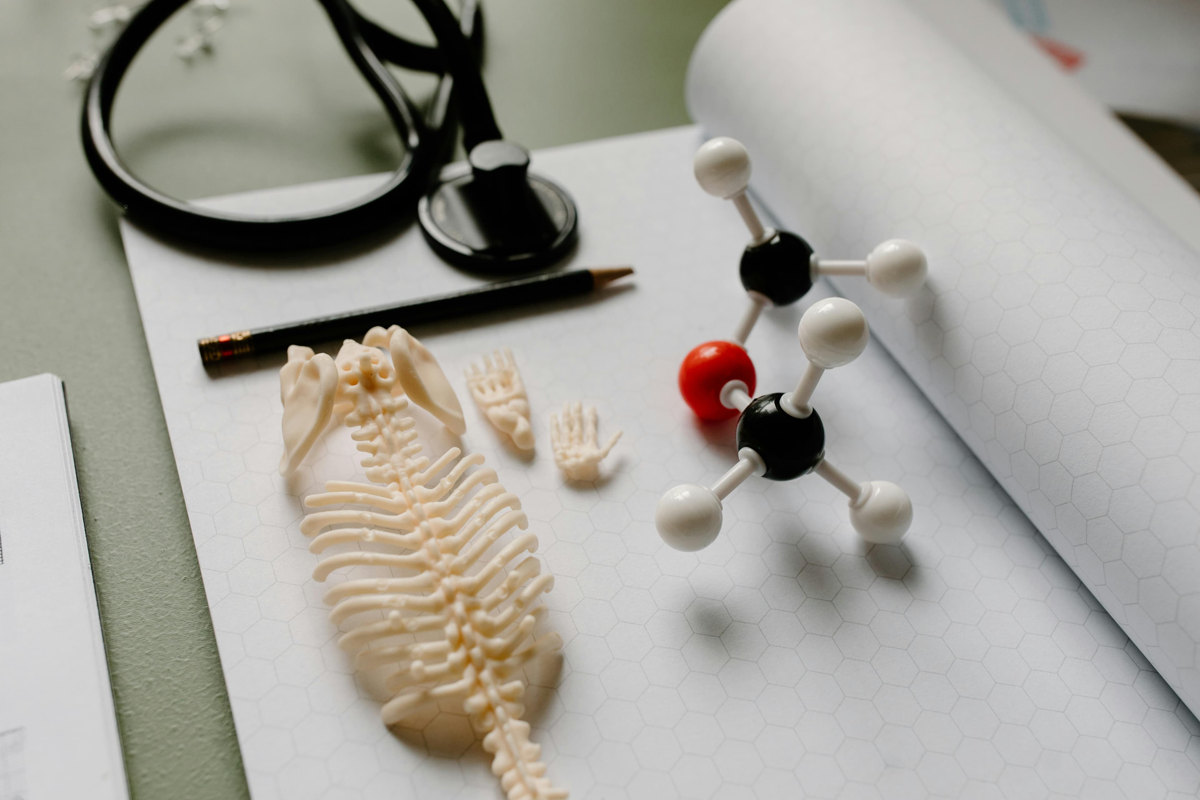 Biology domain
